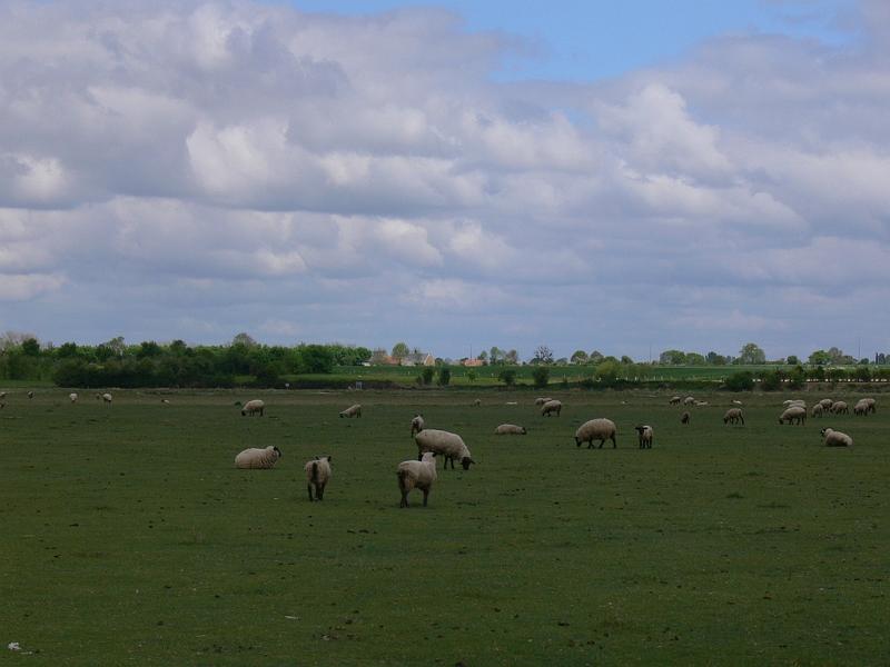Mont Saint Michel 2010 - 383.jpg